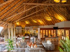 Chobe Bush Lodge