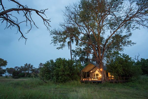 Gomoti Plains Camp