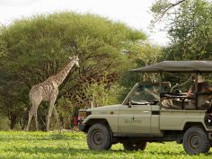 Footsteps across the Detla - Game Drive