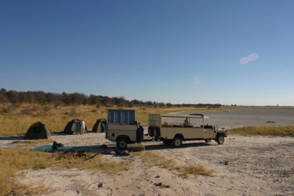 Fish Eagle Safari