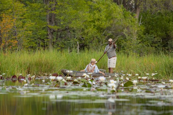 Affordable Botswana Safari