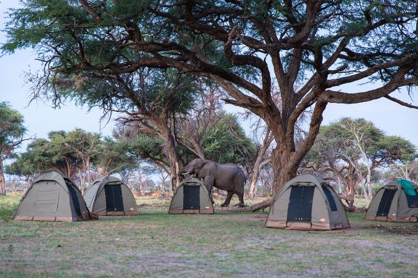 Kalahari Trail