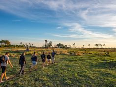 Wild Parks of Botswana