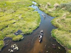 Wild Parks of Botswana