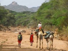 Kamel-Safari Laikipia