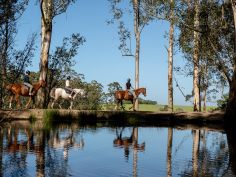 AfriCamps at Oakhurst, Wilderness