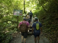 Kingfisher Trail bei Wilderness