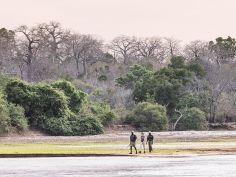 Sand Rivers - Walking Safaris