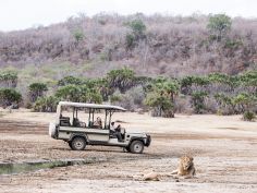 Sand Rivers - Game Drive